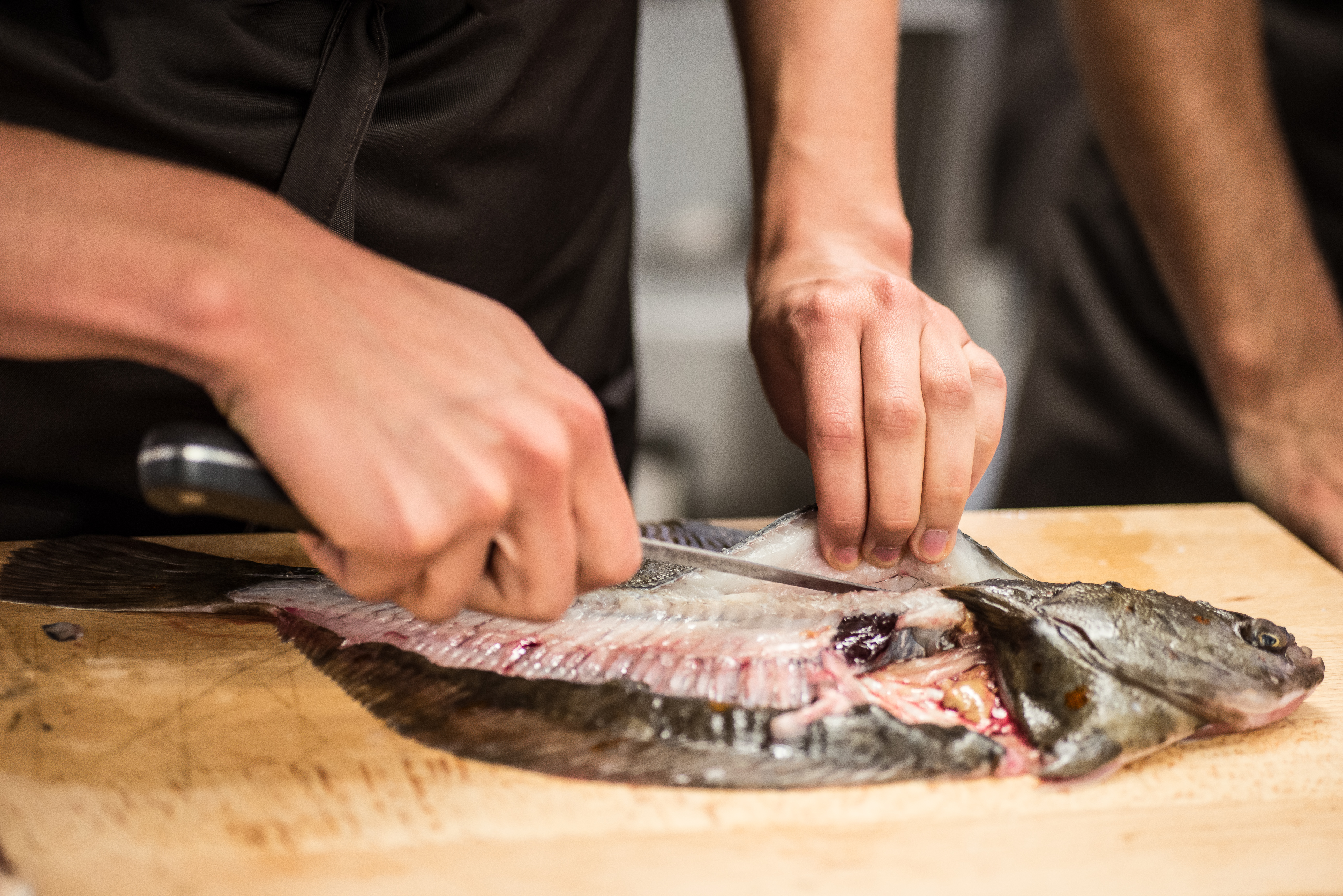 Fiskekursus hos Meyers