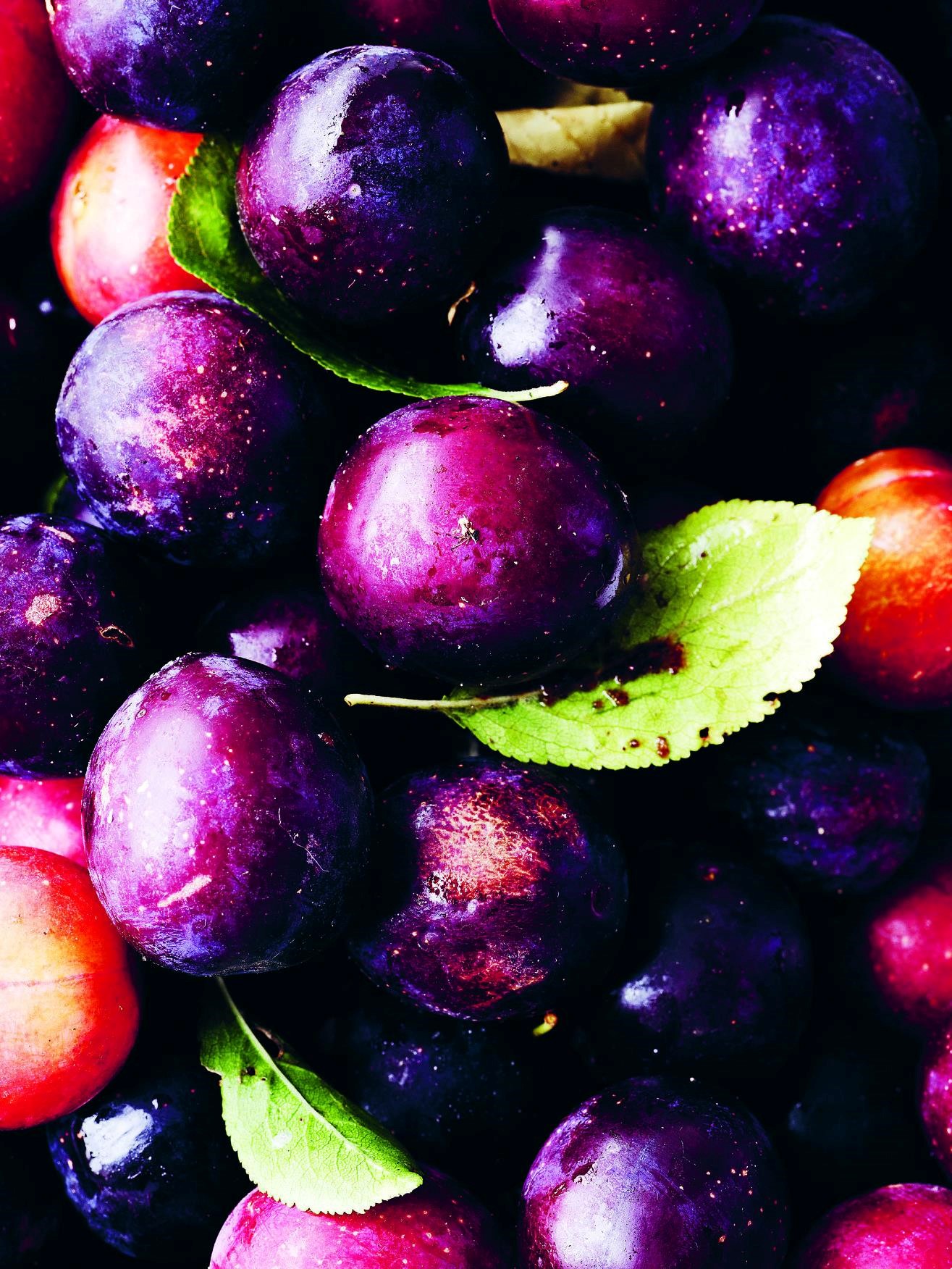 Opskrift med blommer