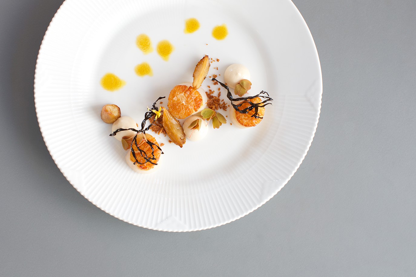 Kammusling med bagte jordskokker