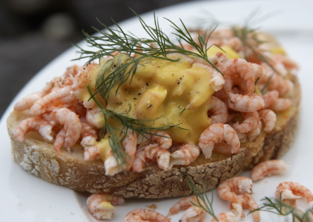 Rejemad med mayo og dild