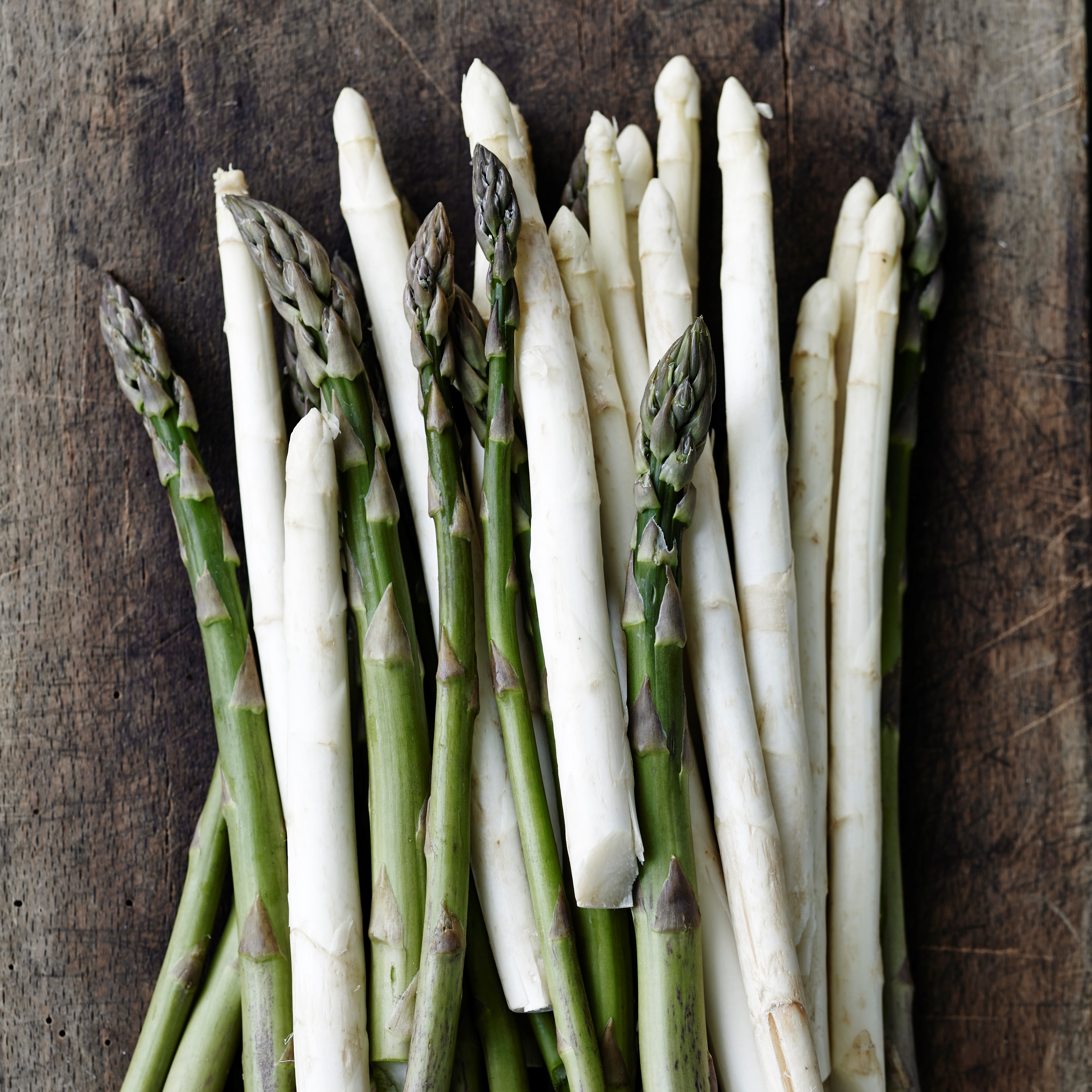 Asparges
