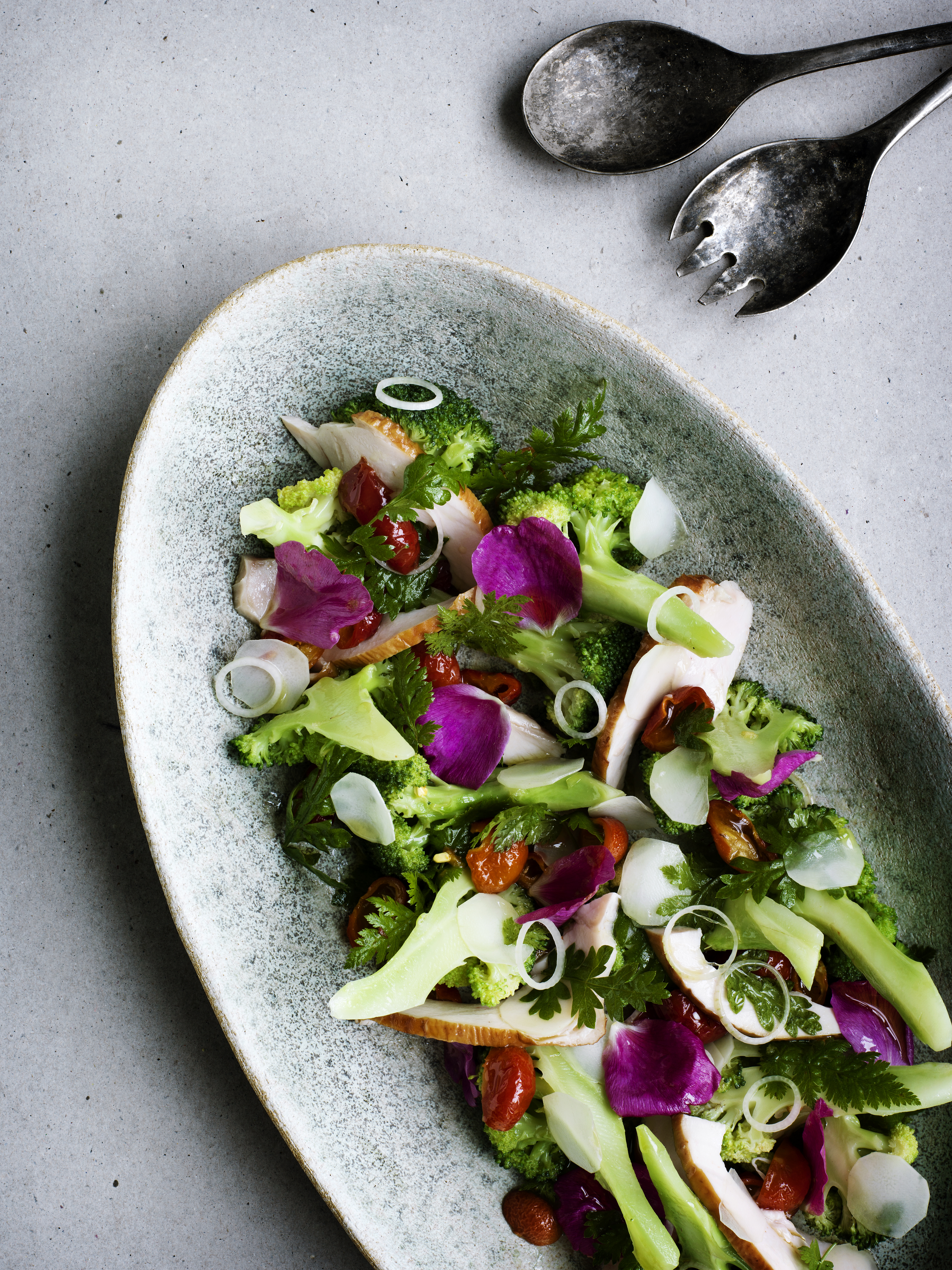 Meyers salat