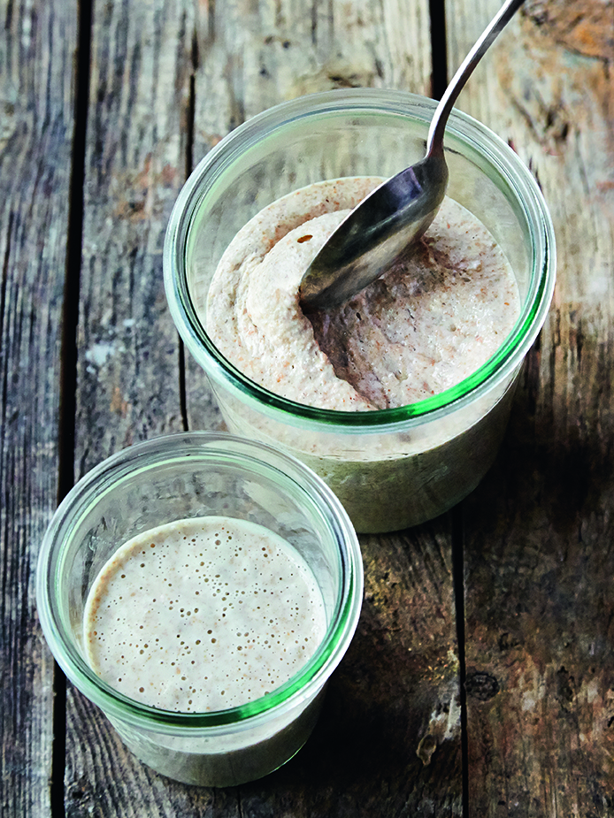 Opskrift på surdej til brød og boller 